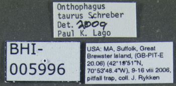 Media type: image;   Entomology 611419 Aspect: labels